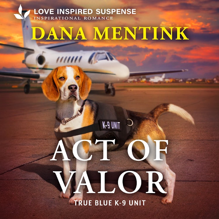 Cover image for Act of Valor, isbn: 9781488238659