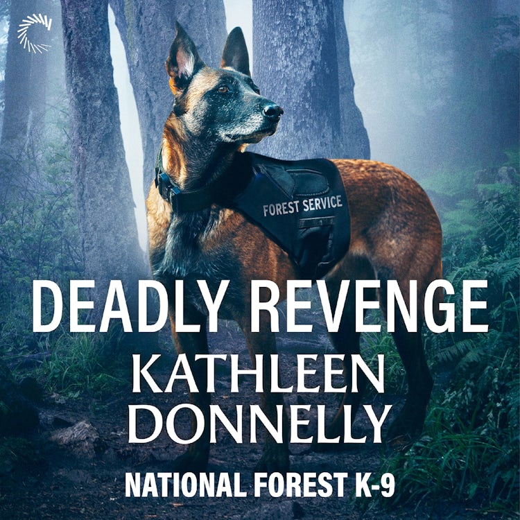 Cover image for Deadly Revenge, isbn: 9781488238802