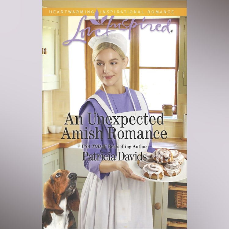 Cover image for An Unexpected Amish Romance, isbn: 9781488244186