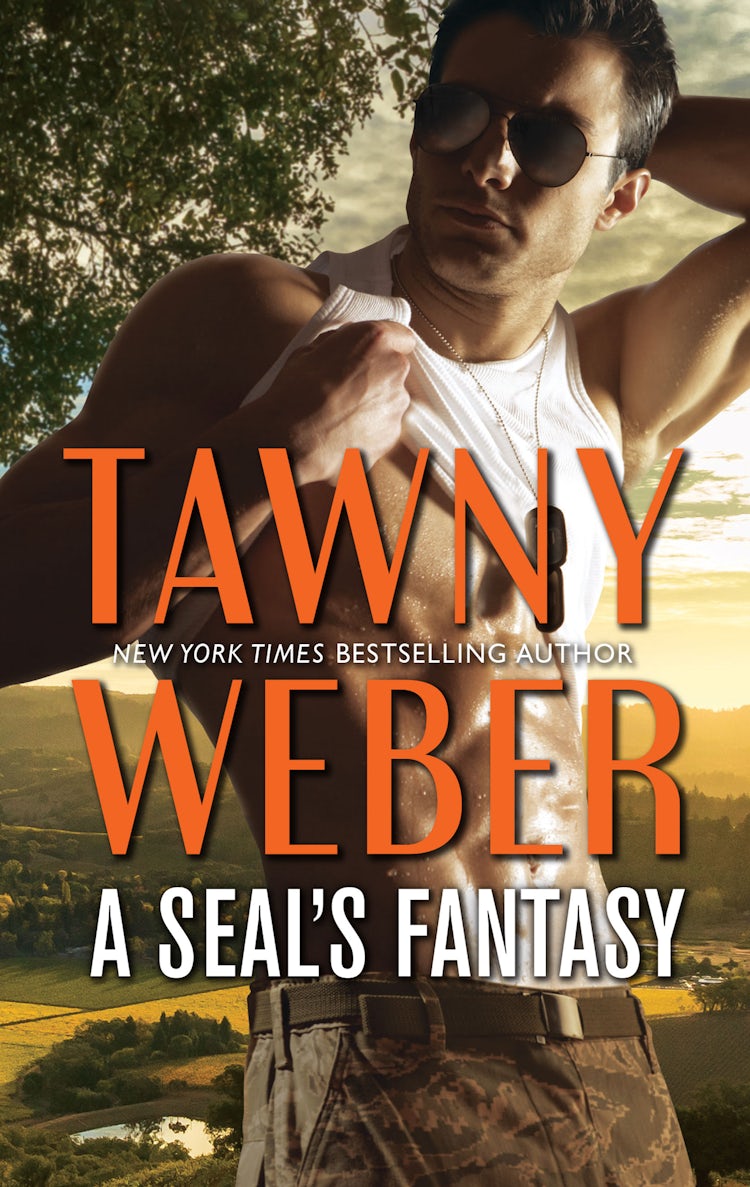 Cover image for A Seal's Fantasy, isbn: 9781488700484