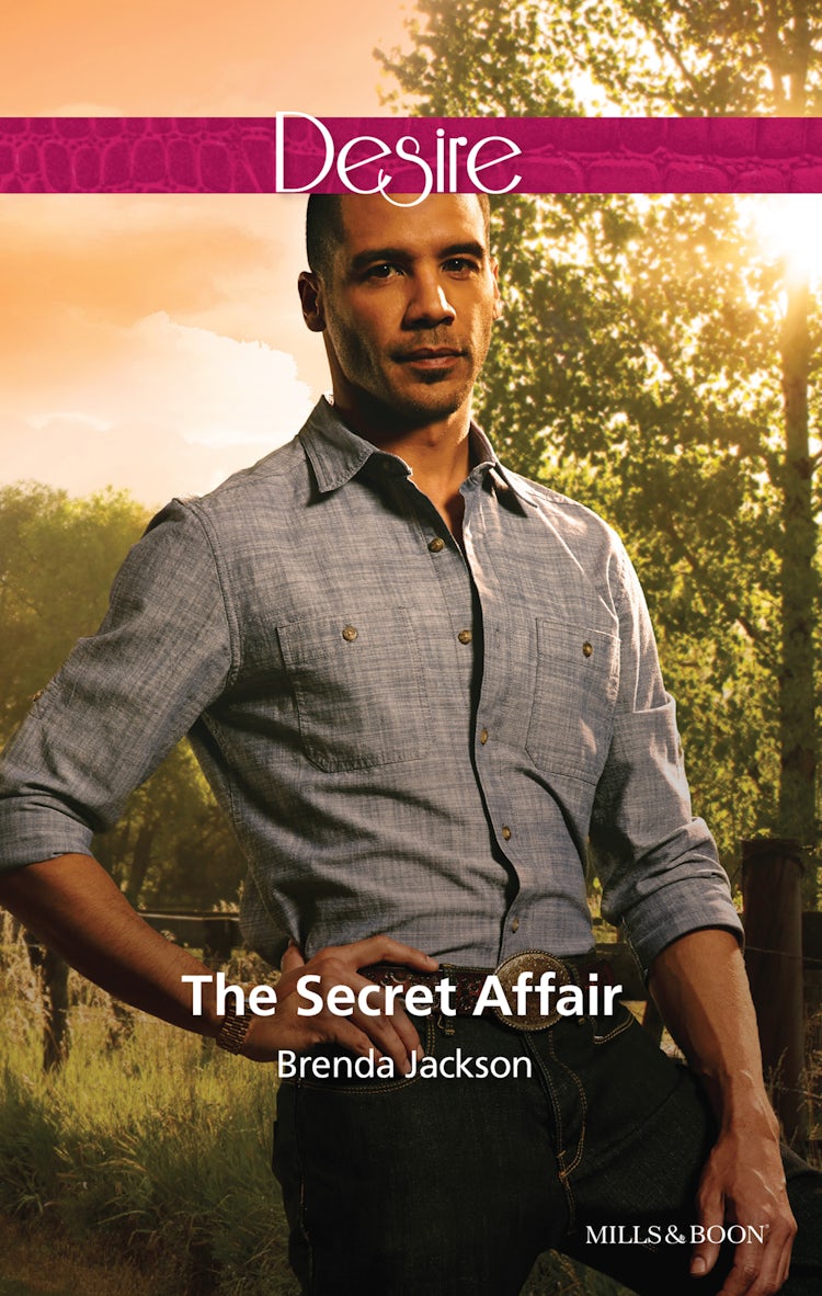 Cover image for The Secret Affair, isbn: 9781488702457