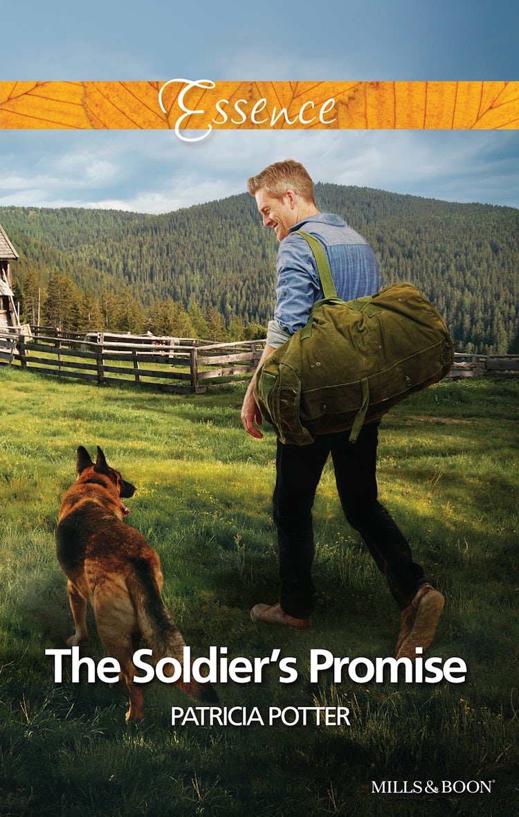 Cover image for The Soldier's Promise, isbn: 9781488702792