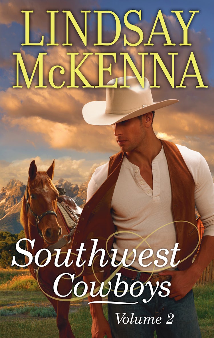 Cover image for Southwest Cowboys: Volume 2 - 2 Book Box Set, isbn: 9781488704376
