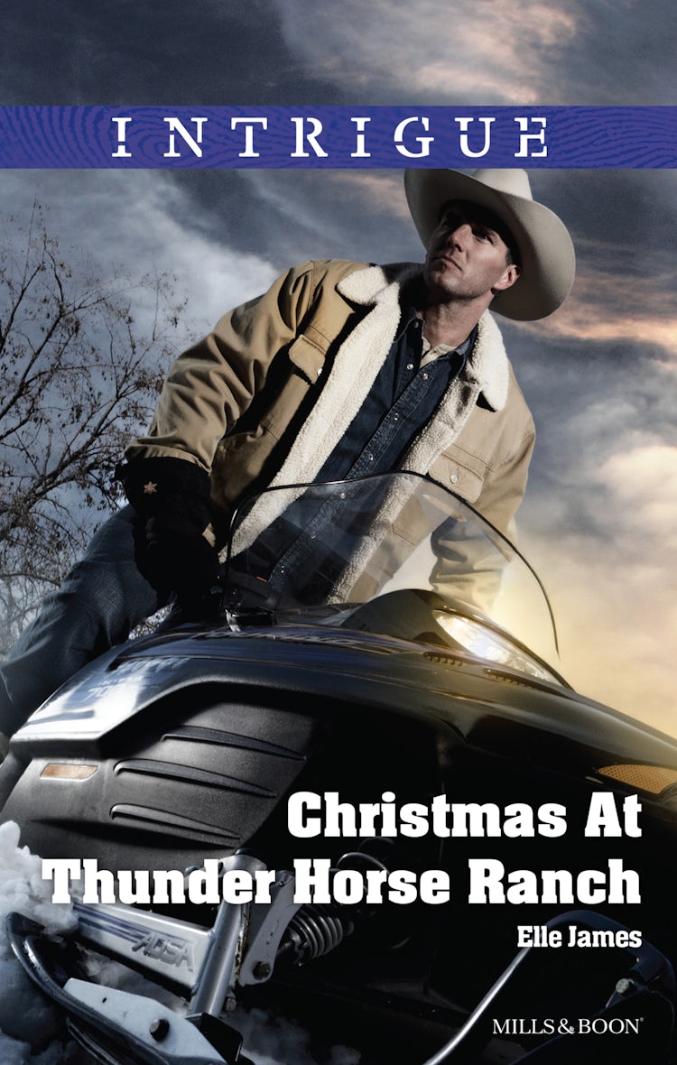 Cover image for Christmas At Thunder Horse Ranch, isbn: 9781488706325