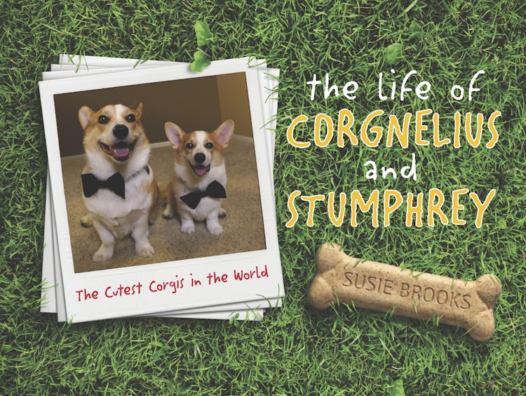 Cover image for The Life Of Corgnelius And Stumphrey, isbn: 9781488711121