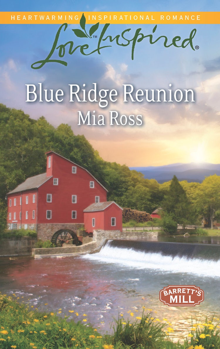 Cover image for Blue Ridge Reunion, isbn: 9781488716584