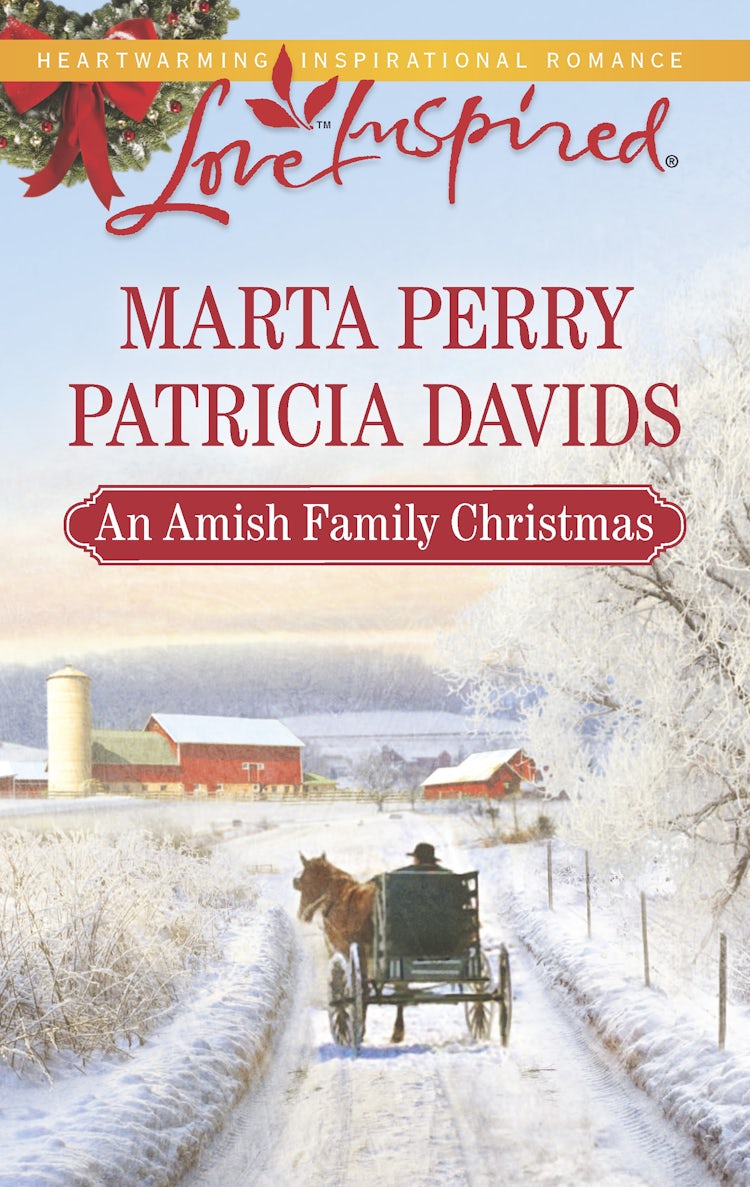 Cover image for An Amish Family Christmas, isbn: 9781488716744