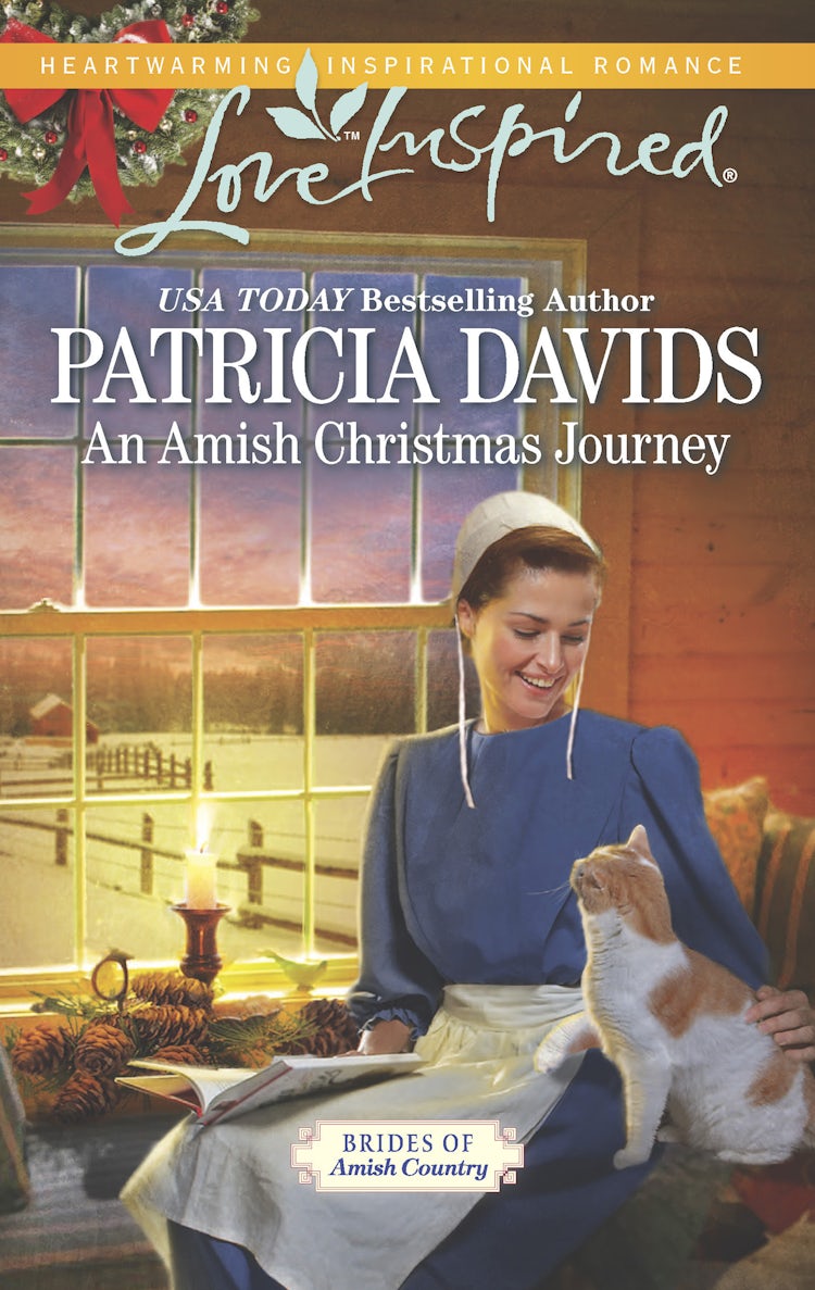 Cover image for An Amish Christmas Journey, isbn: 9781488716812