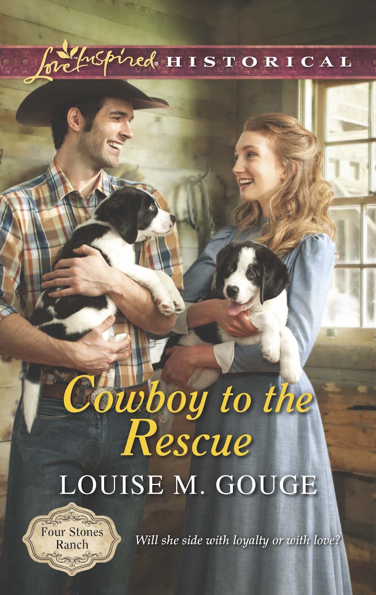 Cover image for Cowboy To The Rescue, isbn: 9781488717666