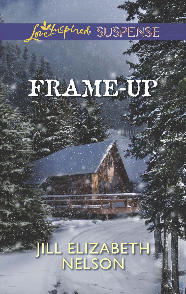 Cover image for Frame-Up, isbn: 9781488718540