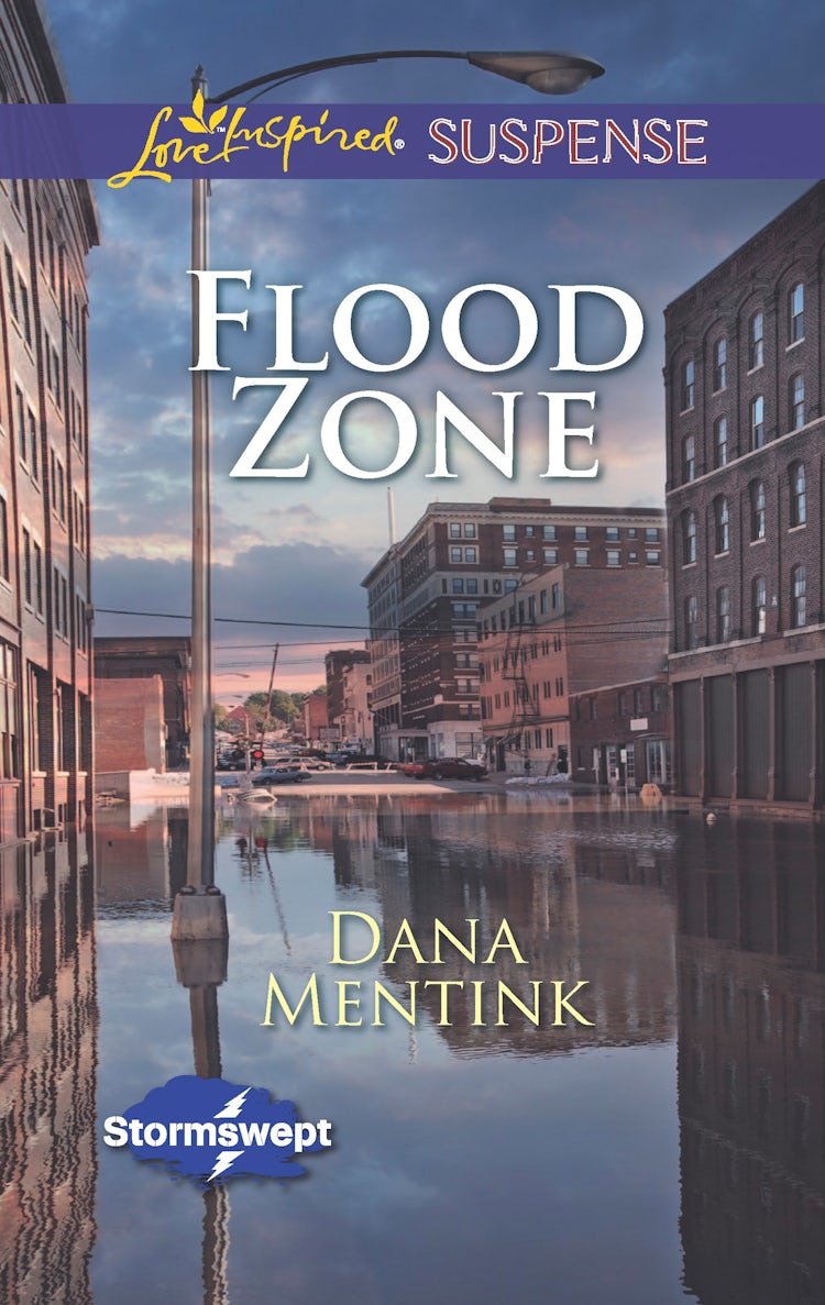 Cover image for Flood Zone, isbn: 9781488718793