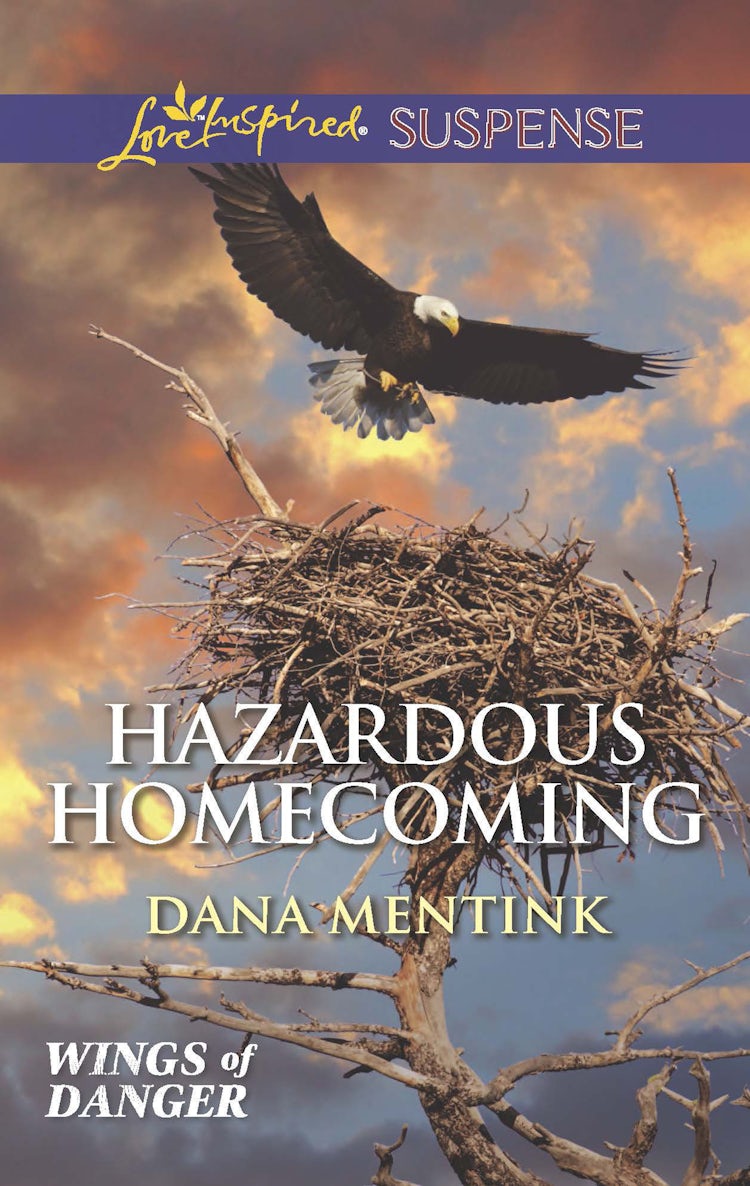 Cover image for Hazardous Homecoming, isbn: 9781488718946