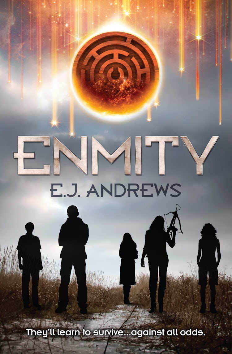 Cover image for Enmity, isbn: 9781488720826