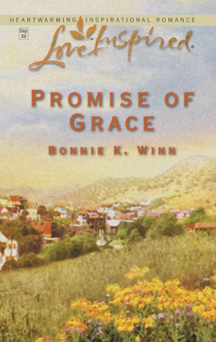 Cover image for Promise Of Grace, isbn: 9781488729980