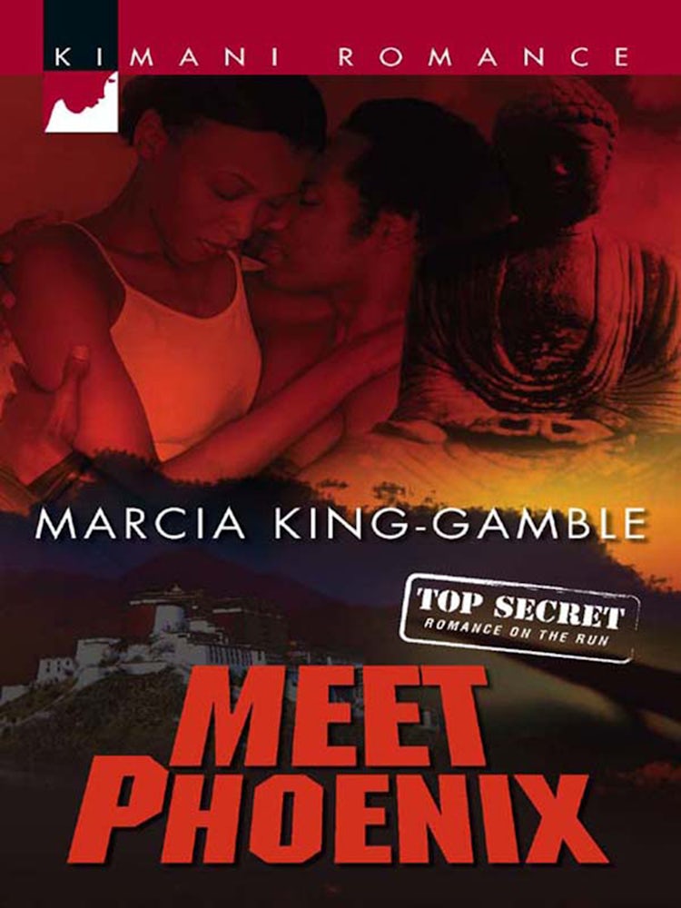 Cover image for Meet Phoenix, isbn: 9781488732225