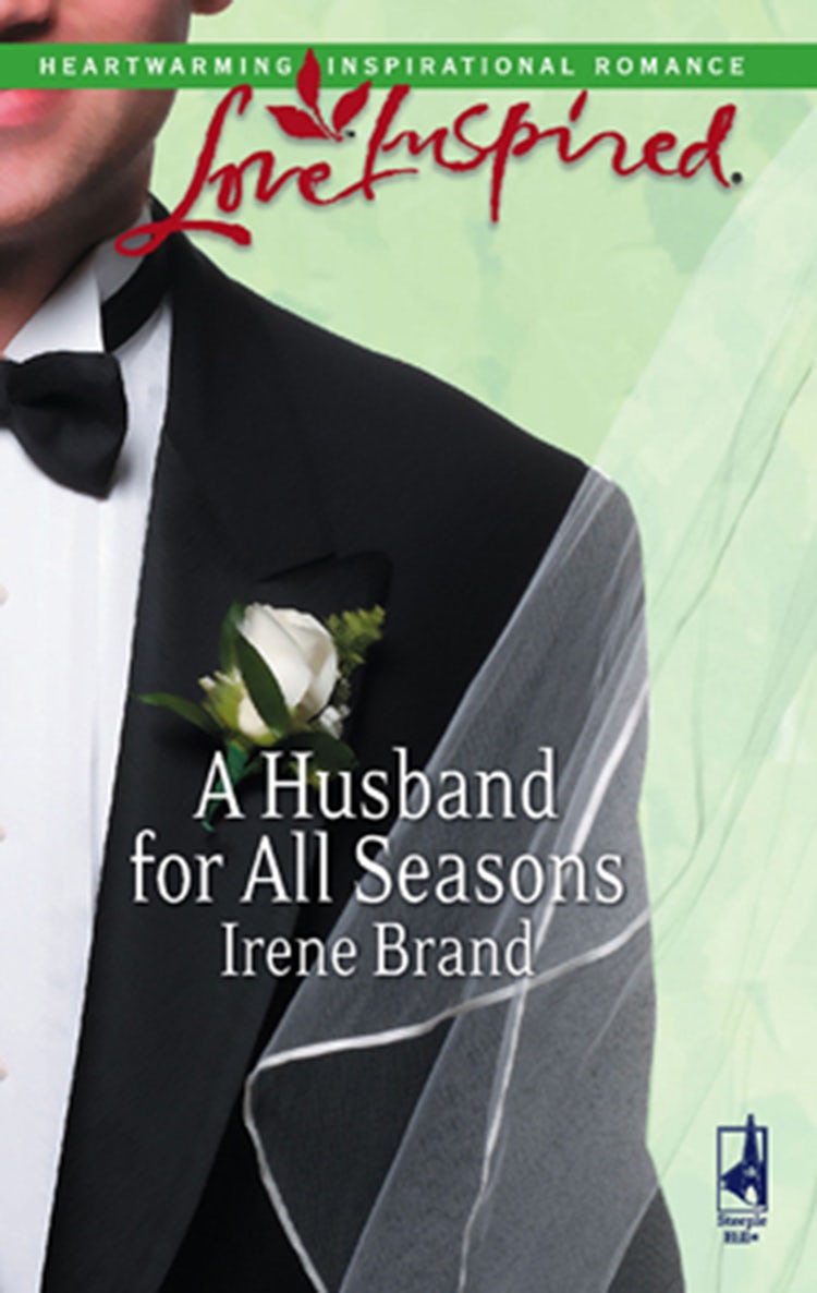 Cover image for A Husband For All Seasons, isbn: 9781488732737