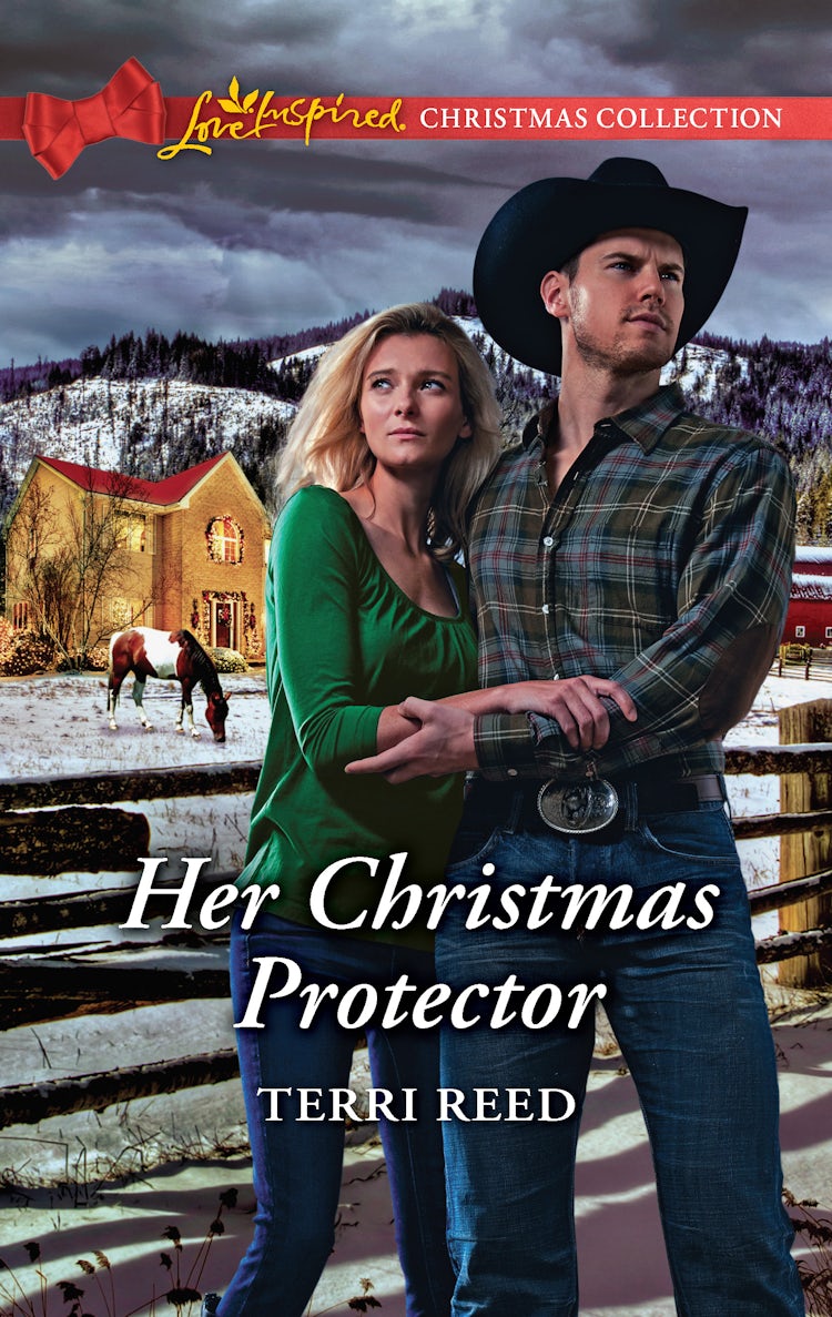 Cover image for Her Christmas Protector, isbn: 9781488733765