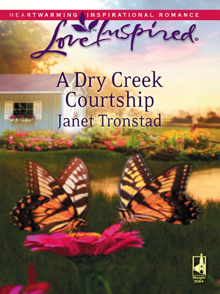 Cover image for A Dry Creek Courtship, isbn: 9781488733994