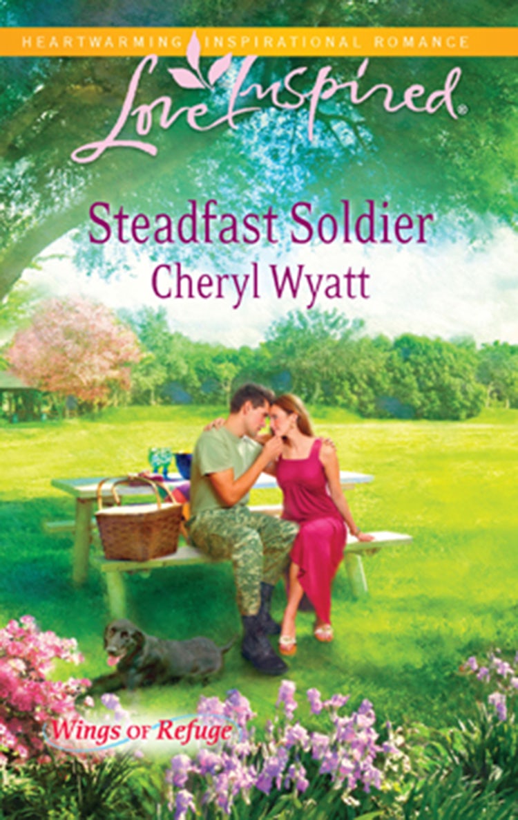 Cover image for Steadfast Soldier, isbn: 9781488745850