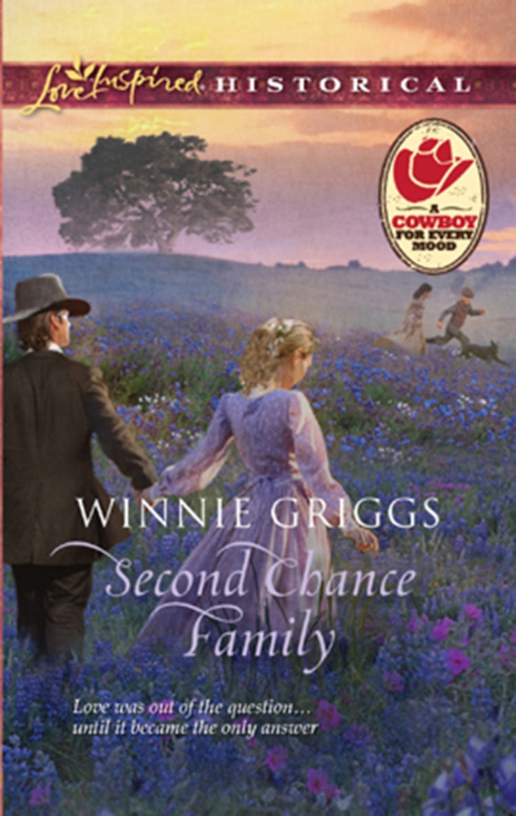 Cover image for Second Chance Family, isbn: 9781488747618