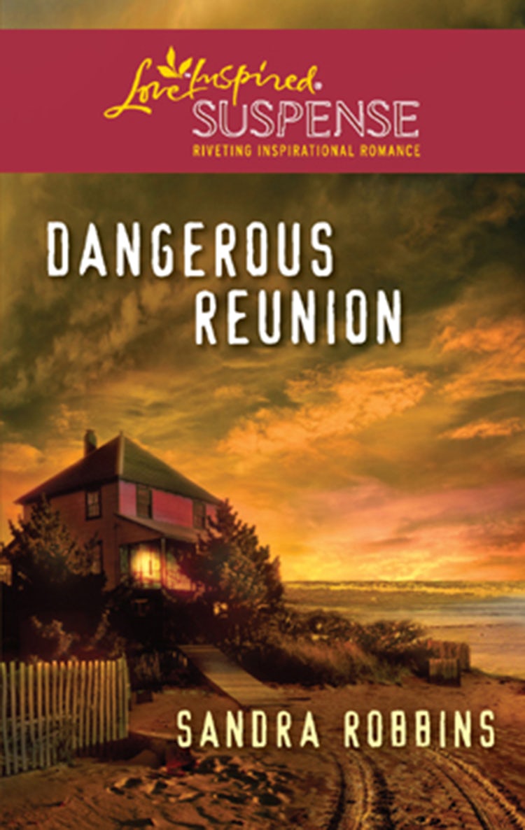Cover image for Dangerous Reunion, isbn: 9781488748240