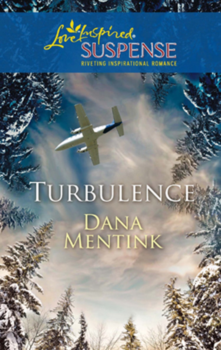 Cover image for Turbulence, isbn: 9781488748301
