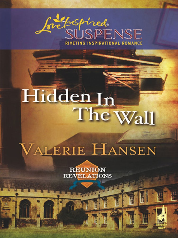 Cover image for Hidden In The Wall, isbn: 9781488748776