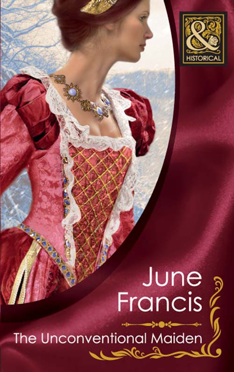 Cover image for The Unconventional Maiden, isbn: 9781488782169