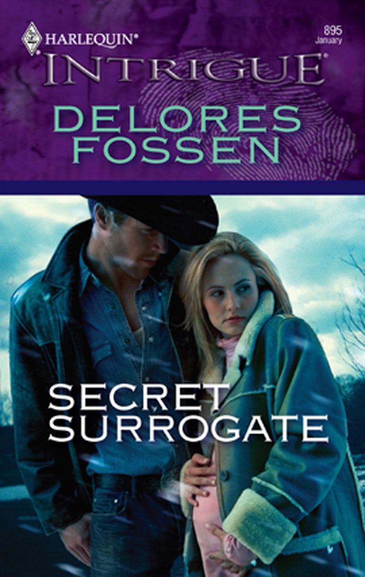 Cover image for Secret Surrogate, isbn: 9781488783357