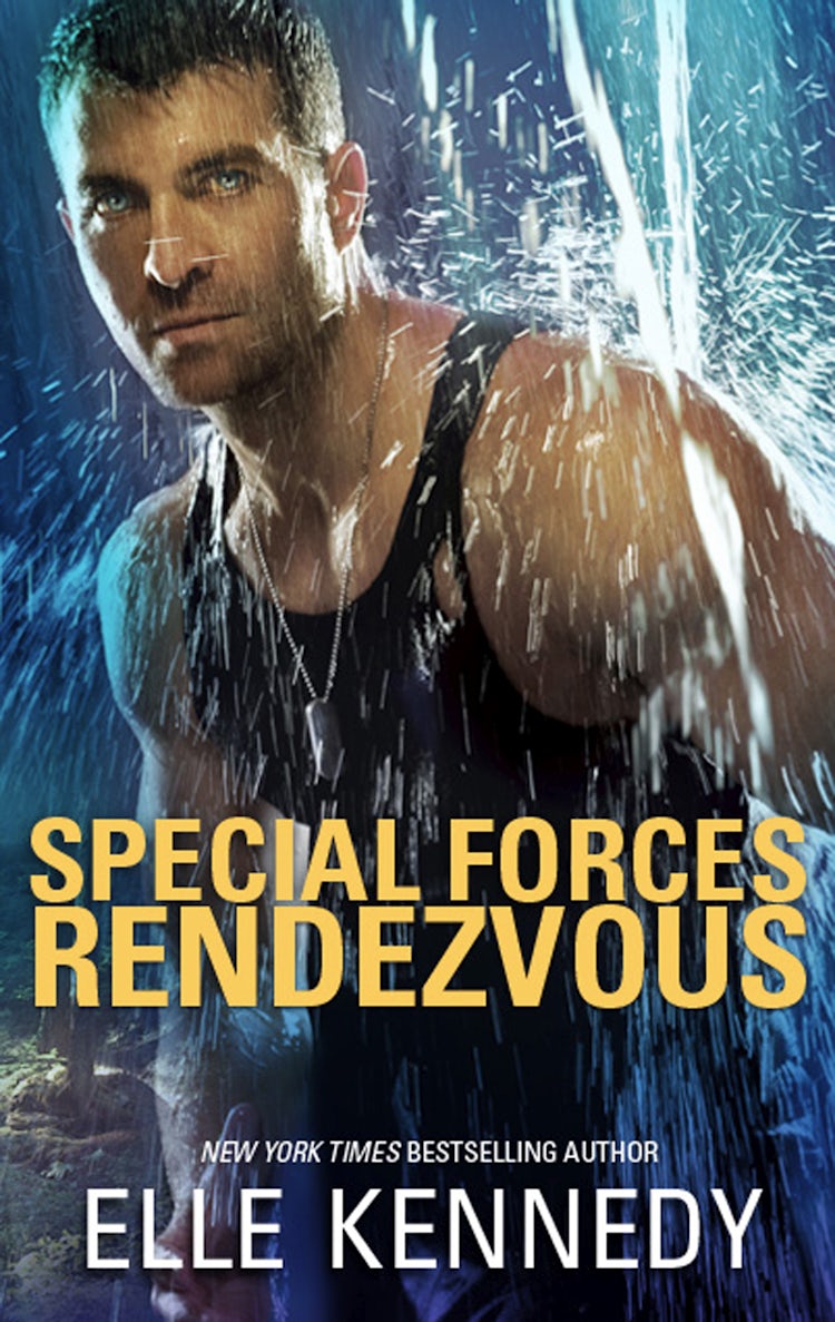 Cover image for Special Forces Rendezvous, isbn: 9781488784743