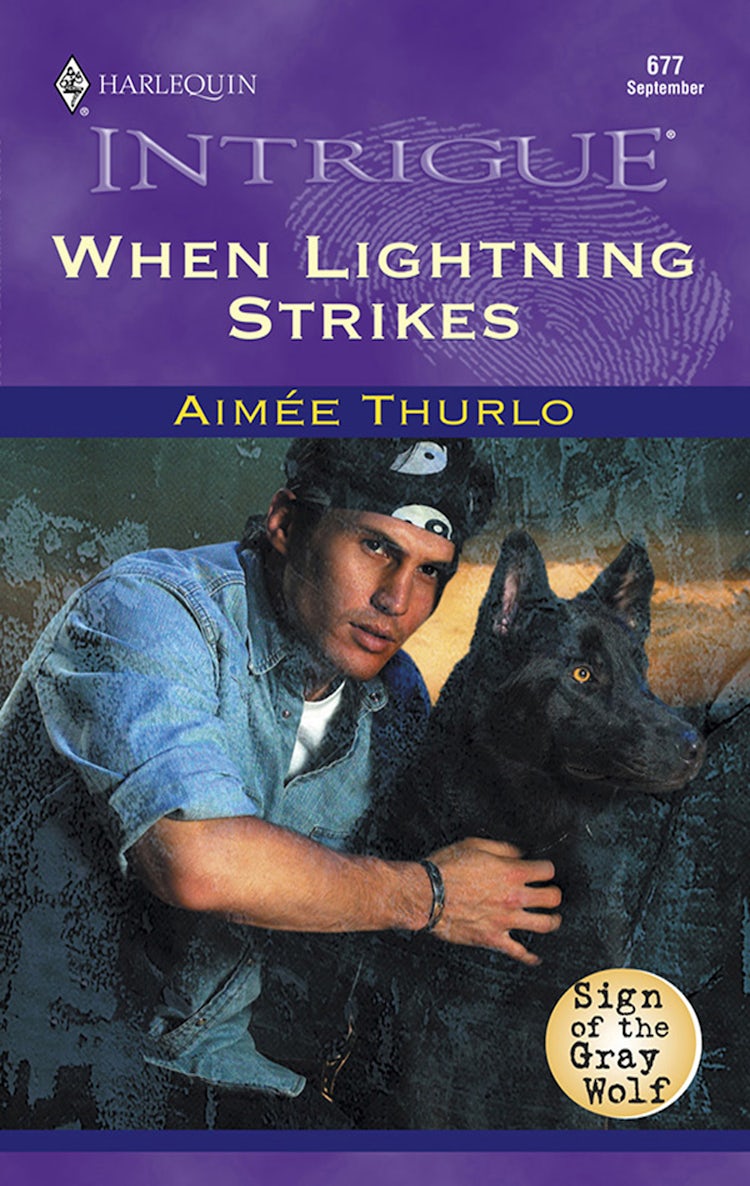 Cover image for When Lightning Strikes, isbn: 9781488785207