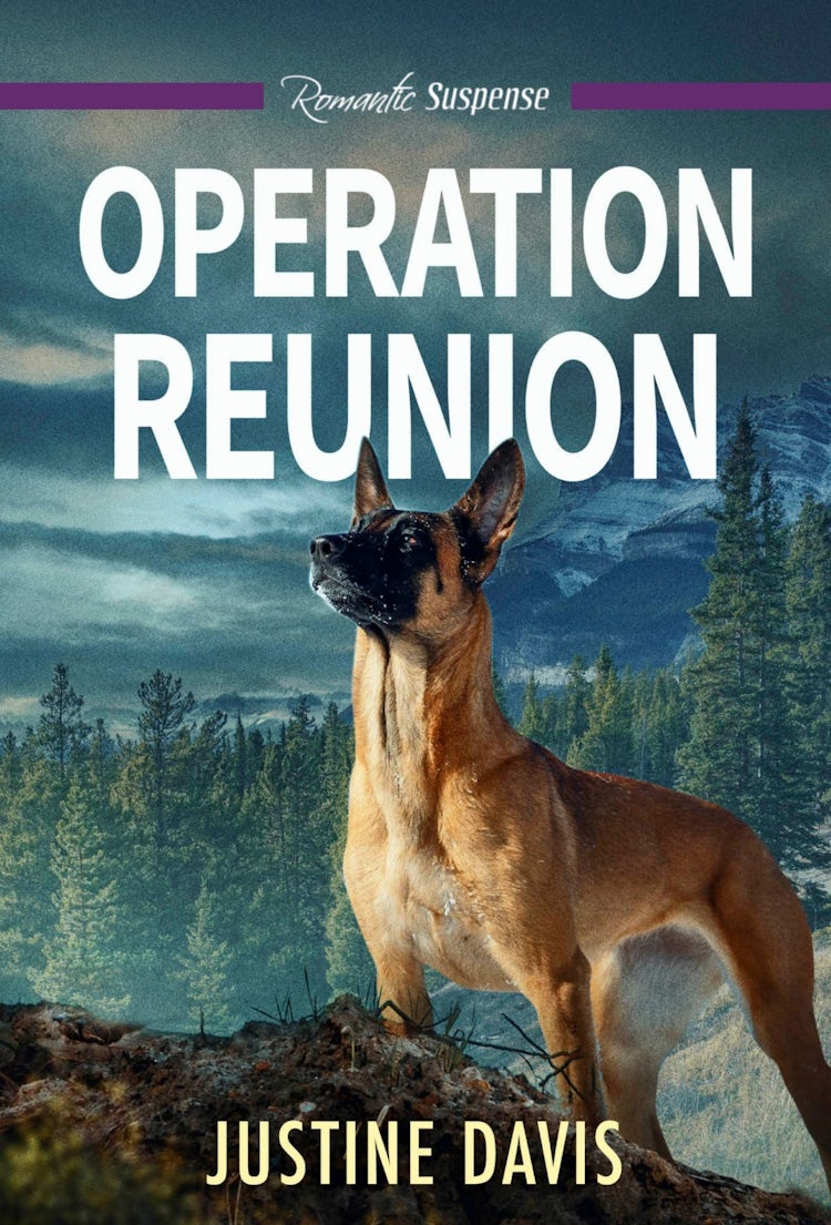 Cover image for Operation Reunion, isbn: 9781488785580