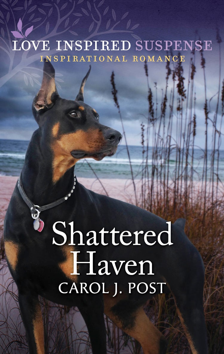 Cover image for Shattered Haven, isbn: 9781488797637