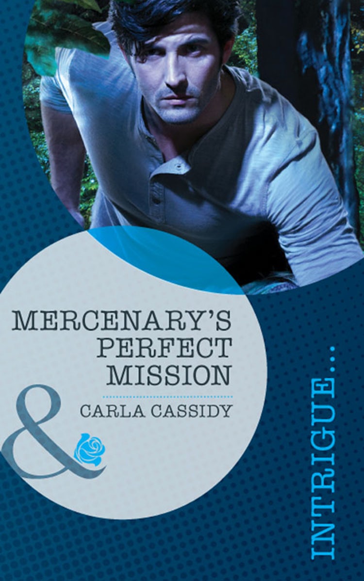 Cover image for Mercenary's Perfect Mission, isbn: 9781488799266