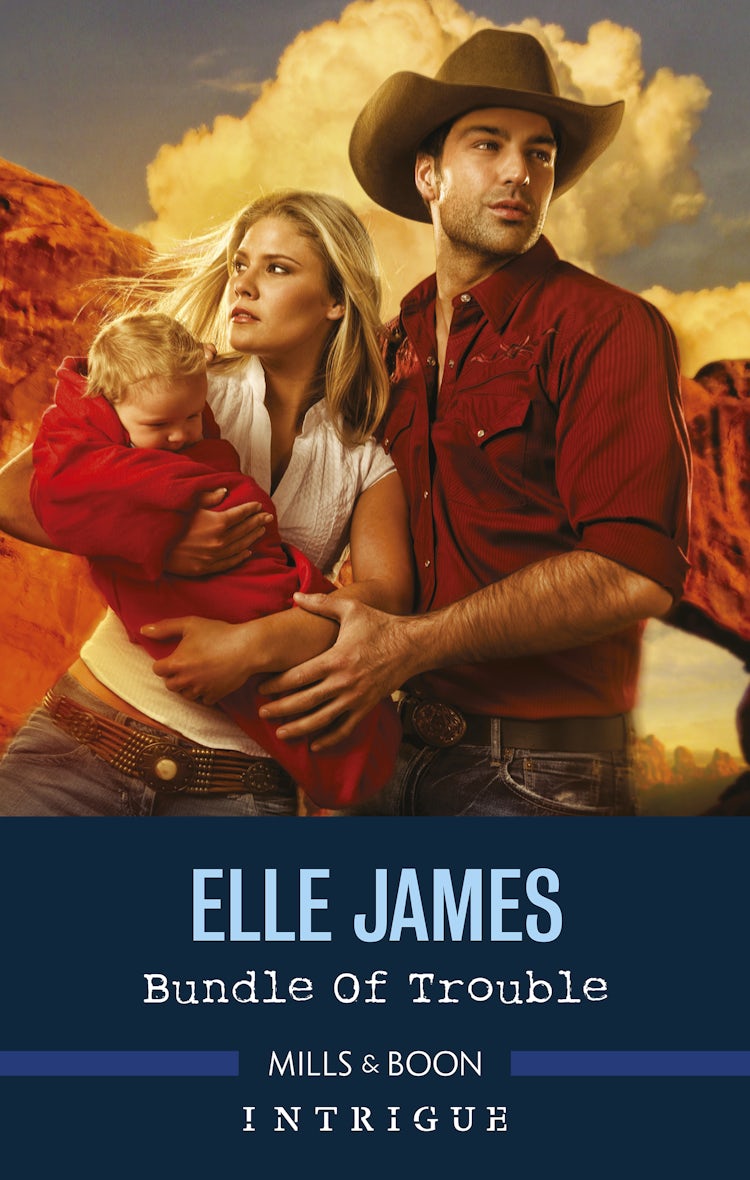 Cover image for Bundle Of Trouble, isbn: 9781488799341