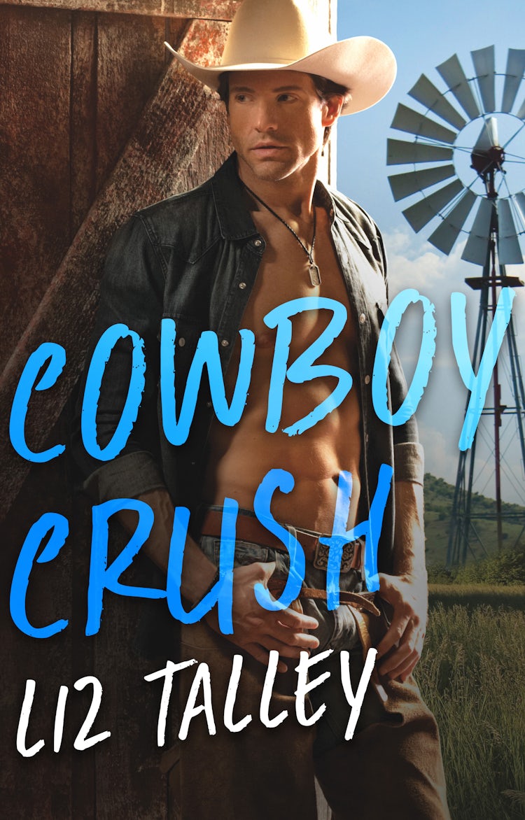 Cover image for Cowboy Crush, isbn: 9781489205797