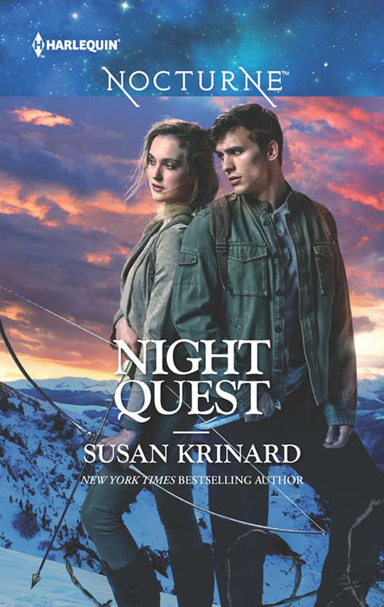 Cover image for Night Quest, isbn: 9781489206275