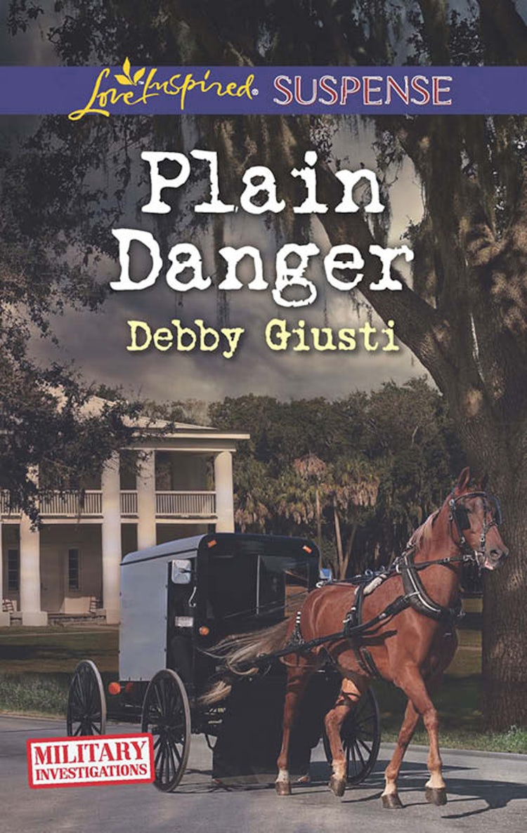 Cover image for Plain Danger, isbn: 9781489206480