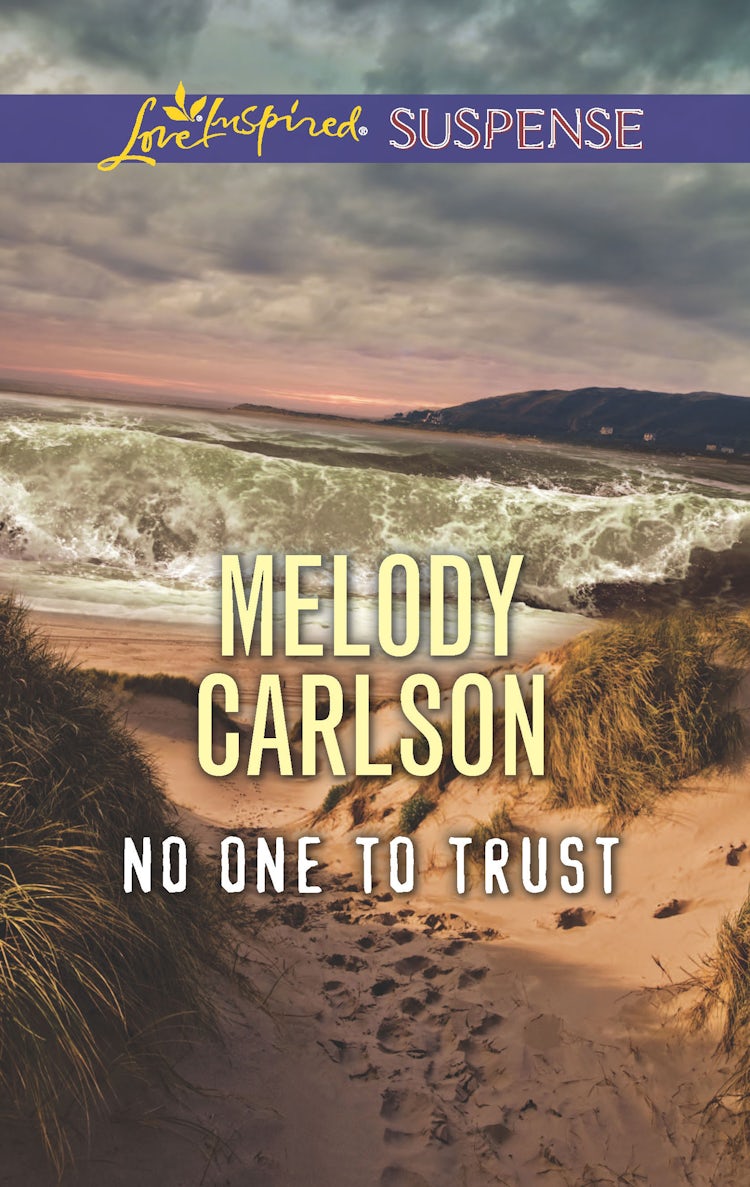 Cover image for No One To Trust, isbn: 9781489207999