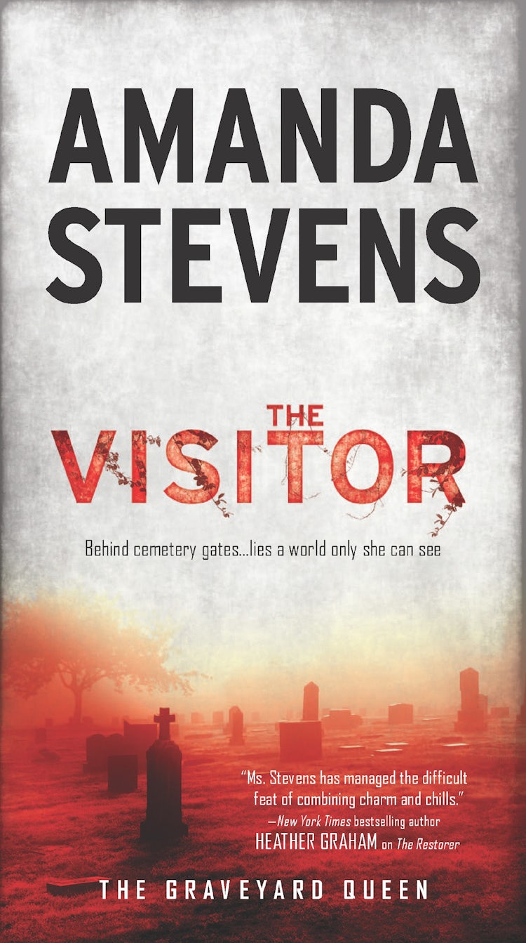 Cover image for The Visitor, isbn: 9781489208620