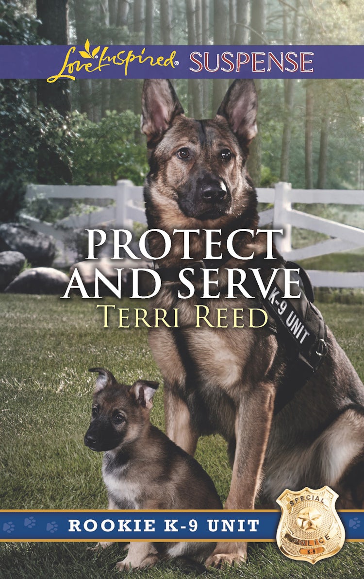 Cover image for Protect And Serve, isbn: 9781489209559