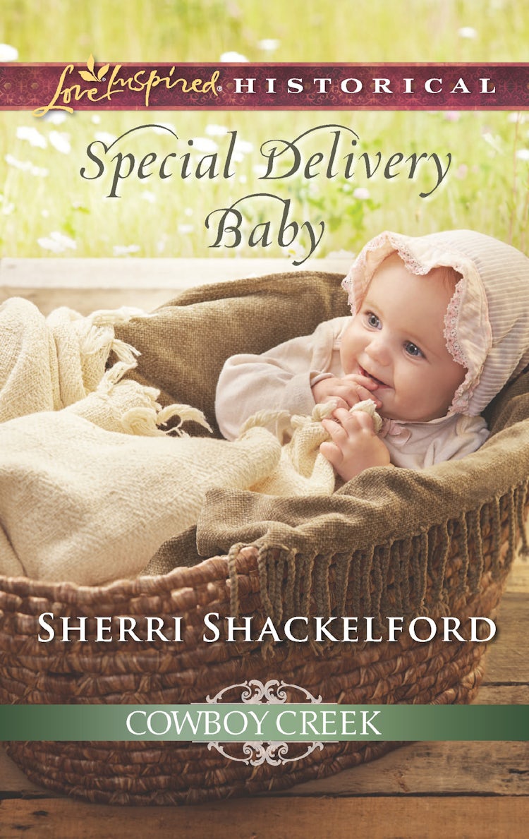 Cover image for Special Delivery Baby, isbn: 9781489212580