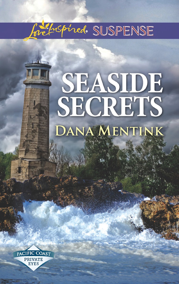 Cover image for Seaside Secrets, isbn: 9781489212634