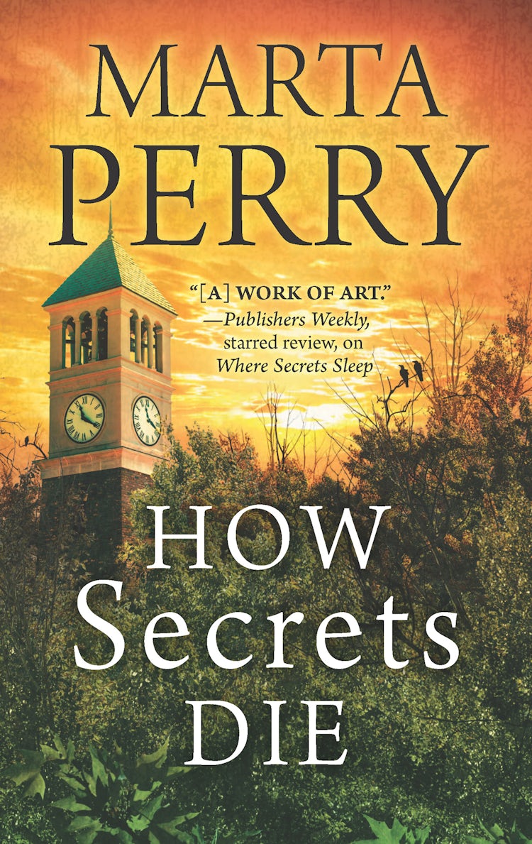 Cover image for How Secrets Die, isbn: 9781489212948