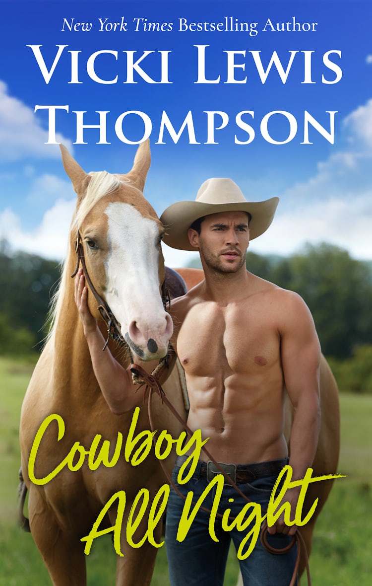 Cover image for Cowboy All Night, isbn: 9781489213495