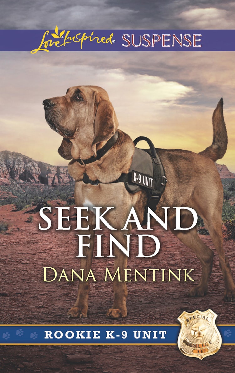 Cover image for Seek And Find, isbn: 9781489214171