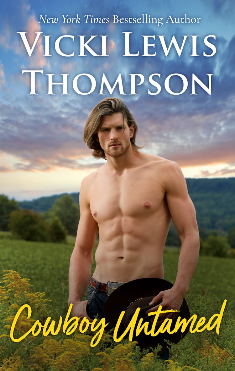 Cover image for Cowboy Untamed, isbn: 9781489215284
