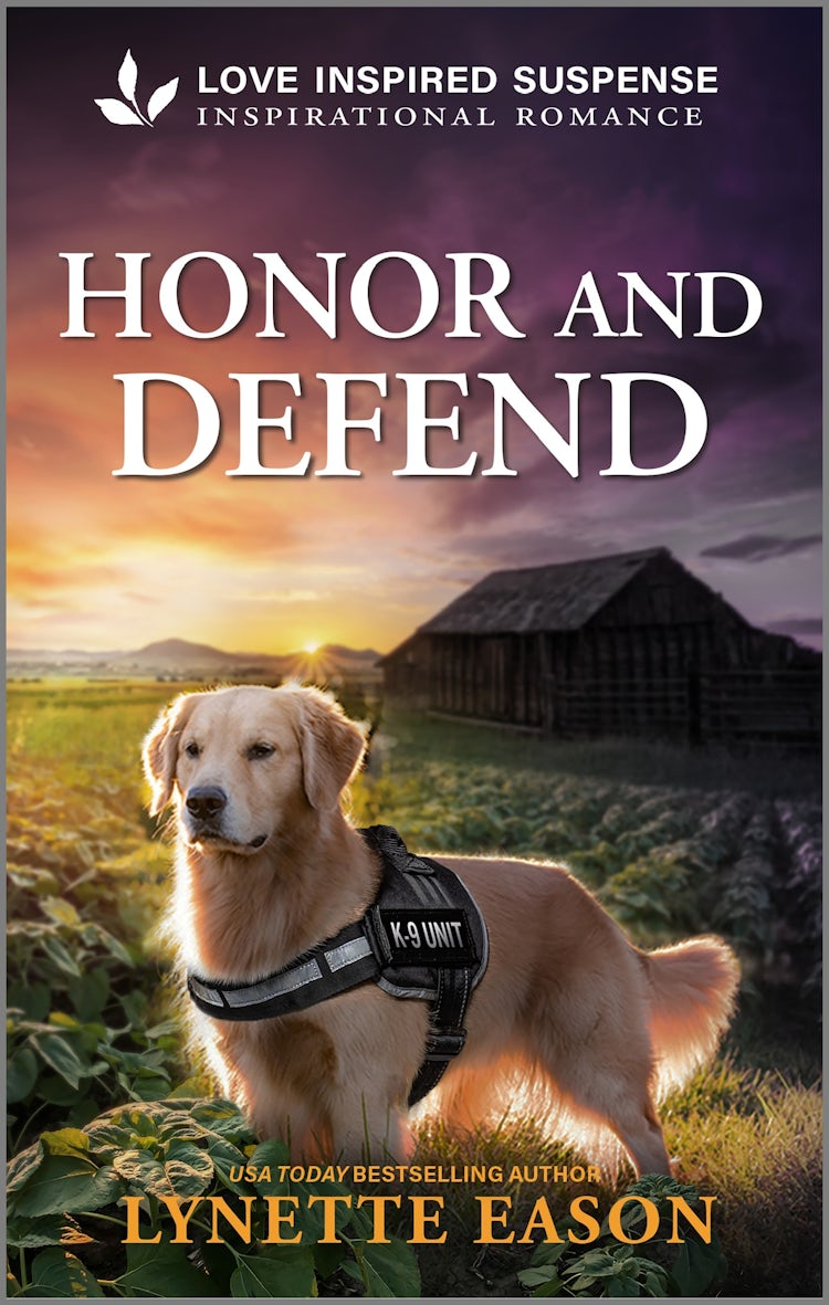 Cover image for Honour And Defend, isbn: 9781489216472