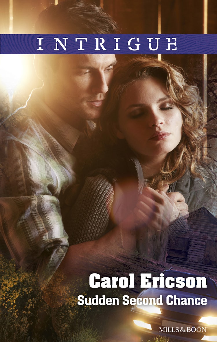 Cover image for Sudden Second Chance, isbn: 9781489218476