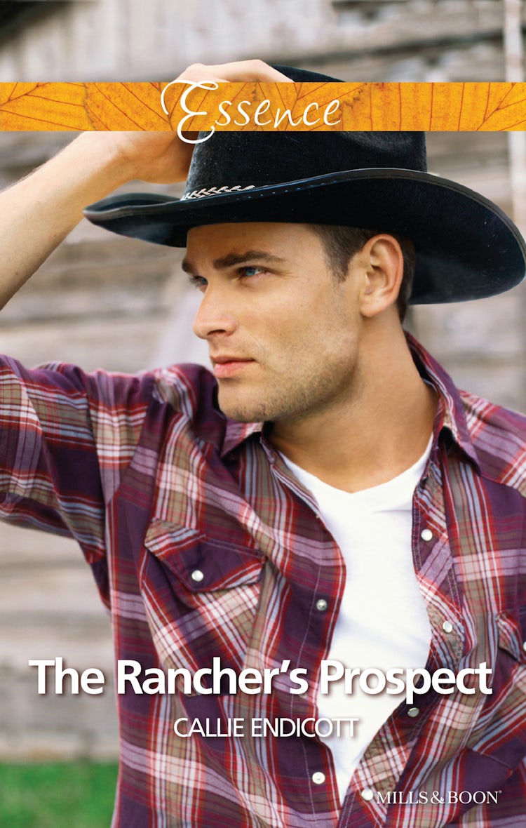 Cover image for The Rancher's Prospect, isbn: 9781489218919